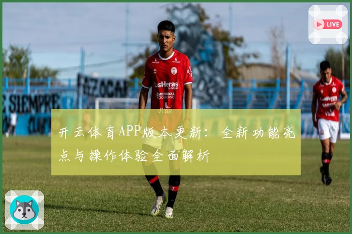 开云体育APP版本更新：全新功能亮点与操作体验全面解析